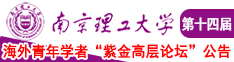 大几把操美女南京理工大学第十四届海外青年学者紫金论坛诚邀海内外英才！